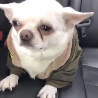 🥺