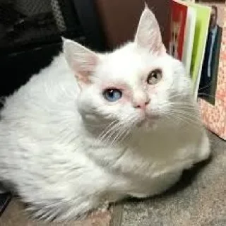 🙄