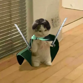 ⚔