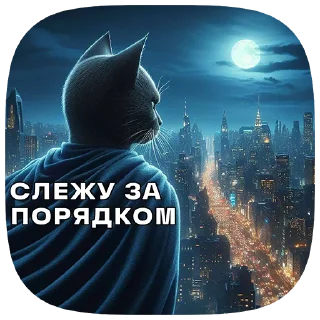 🦸‍♂️