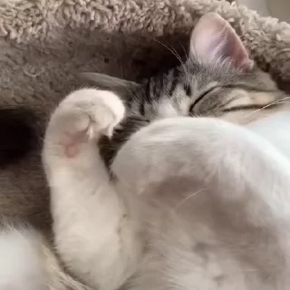 🥲