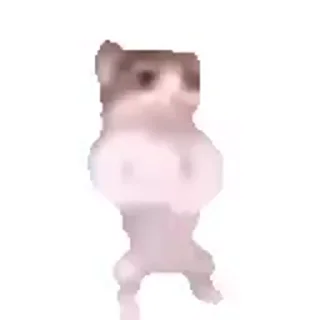 😸