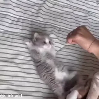 😂