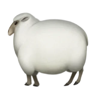 спешил @blicusz