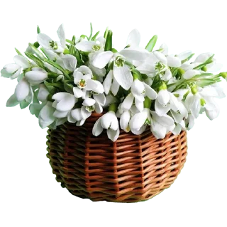 💐