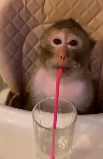 🥤
