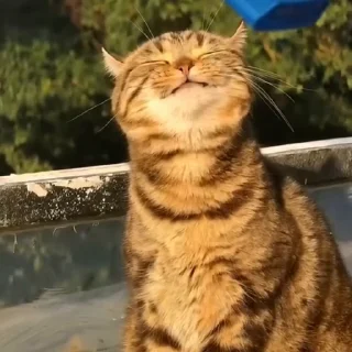 😊