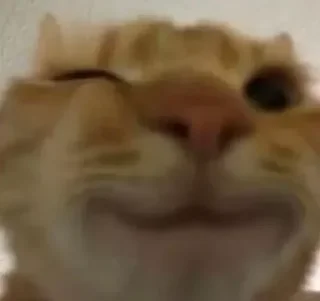 😉