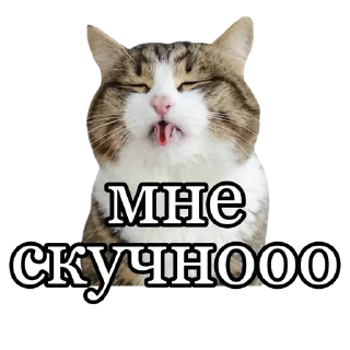 😴