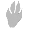 "Tiny Bunny / Зайчик №2"