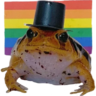🏳‍🌈