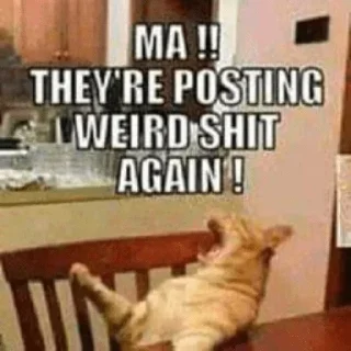 😳