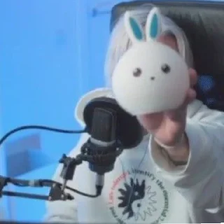 🐇