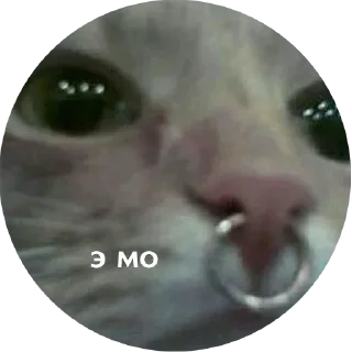 😭