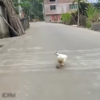 🥴