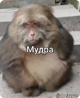 ☝️
