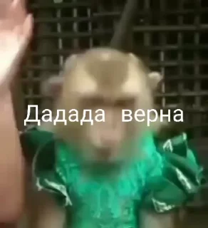 😱