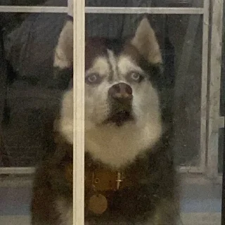 🤔