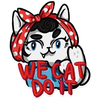 FEMICATS (@kotypic)