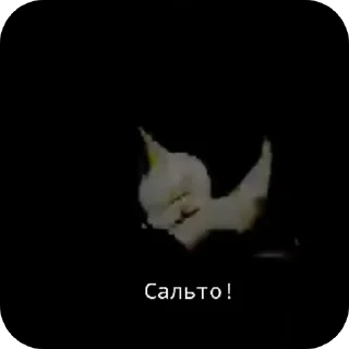 🥳