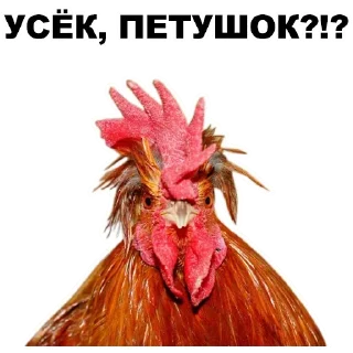 ☝️
