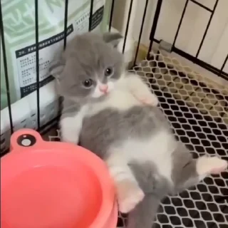 😦