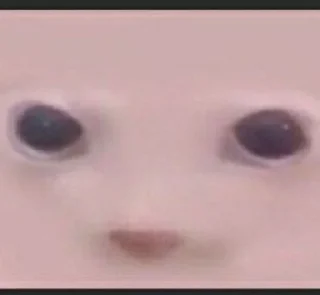 😶