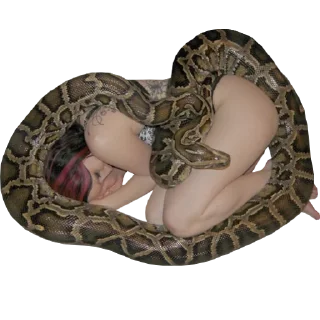 🐍