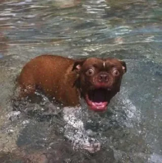 😩