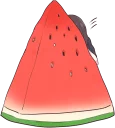 🍉
