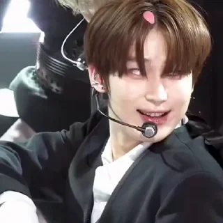 🦊