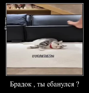 🙄