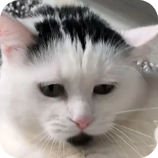 😔