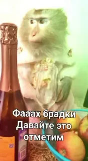 🌟