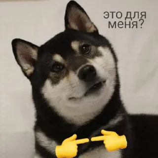 🌚