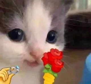 💍