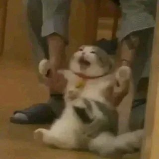 😫