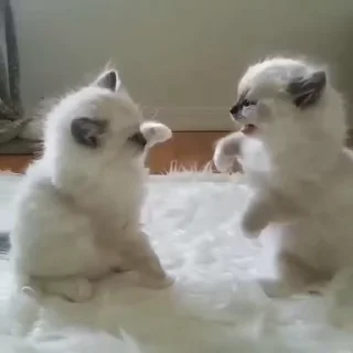 🥰