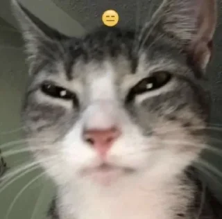 😑