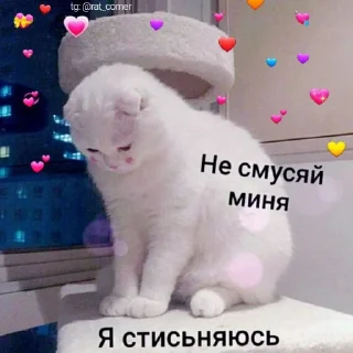 💞