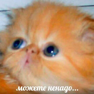 🥺