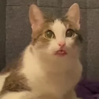 😳