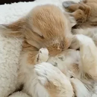 ☺