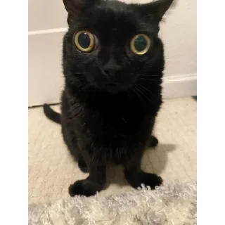 😳