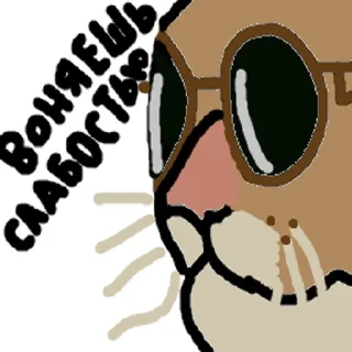 🐱