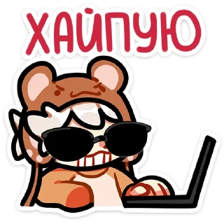 😎