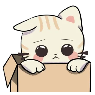 🥺
