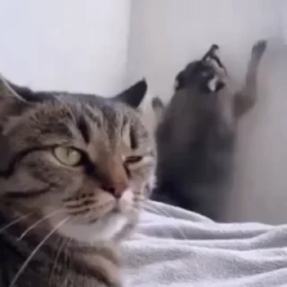 🤥
