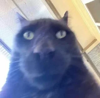 🕴️