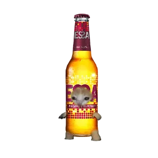 🍺